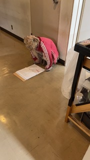 41897D71-E7DC-405B-9C08-2B86FF0ECB1E.jpeg