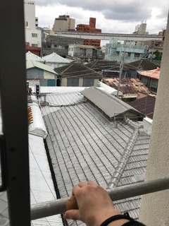 491DF382-82D1-48B6-8457-9E70D2236134.jpeg